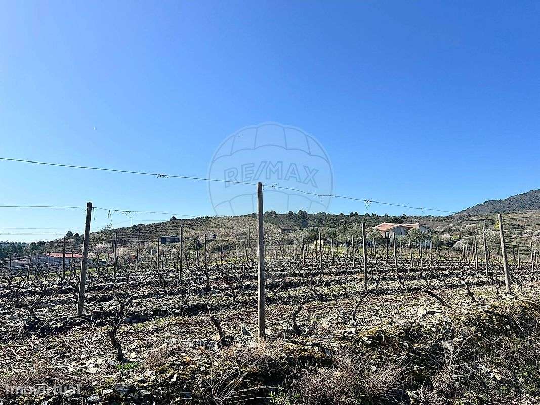 Terreno  para venda - Grande imagem: 3/17