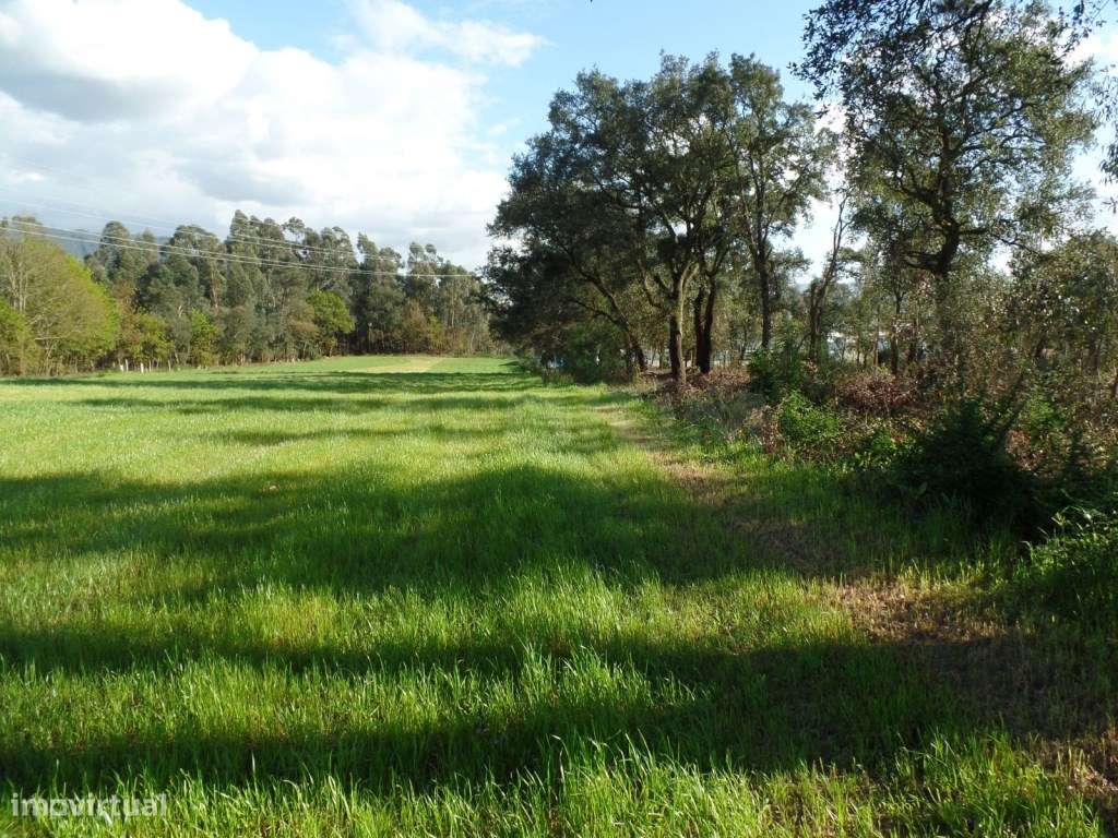 Terreno - Grande imagem: 3/7