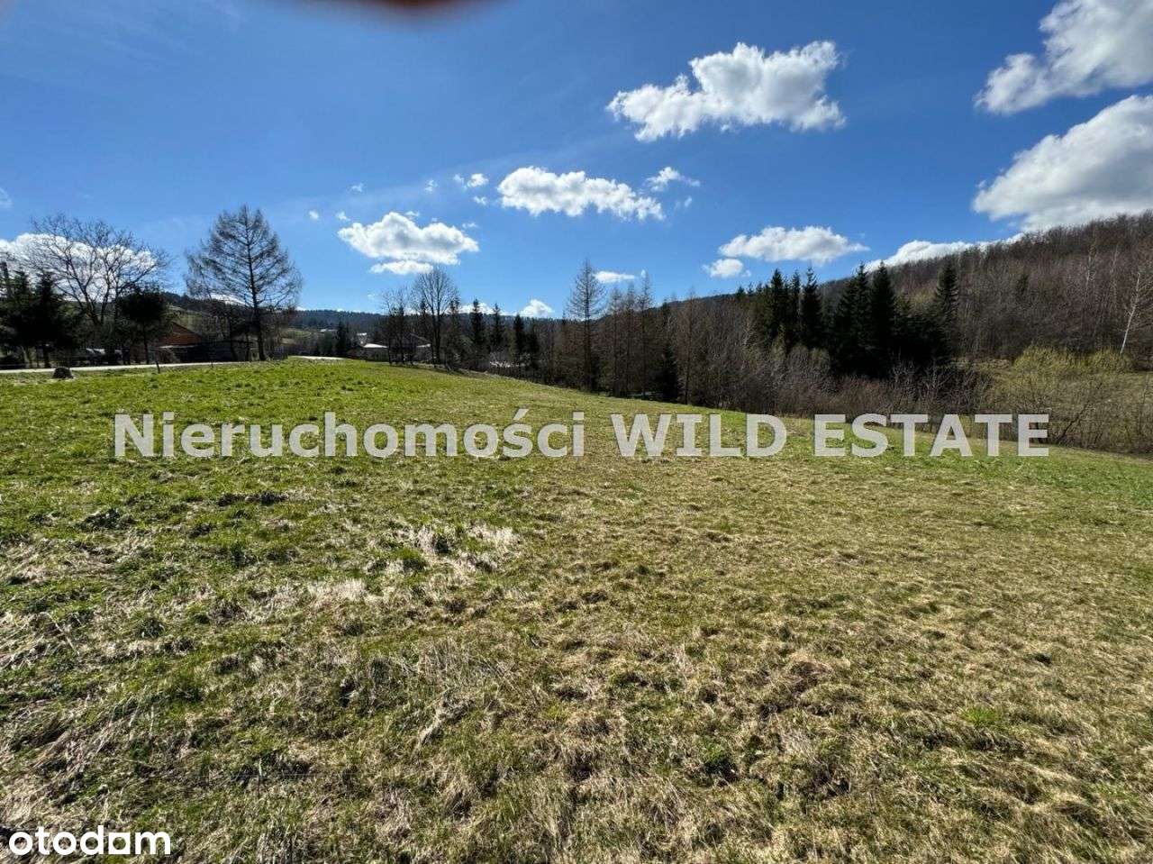 Działka, 10 031 m², Bukowsko - Pełny obrazek: 4/8