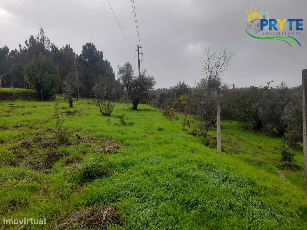 Moradia de tipologia T2 situada a 5 minutos da Vila da Sertã-31