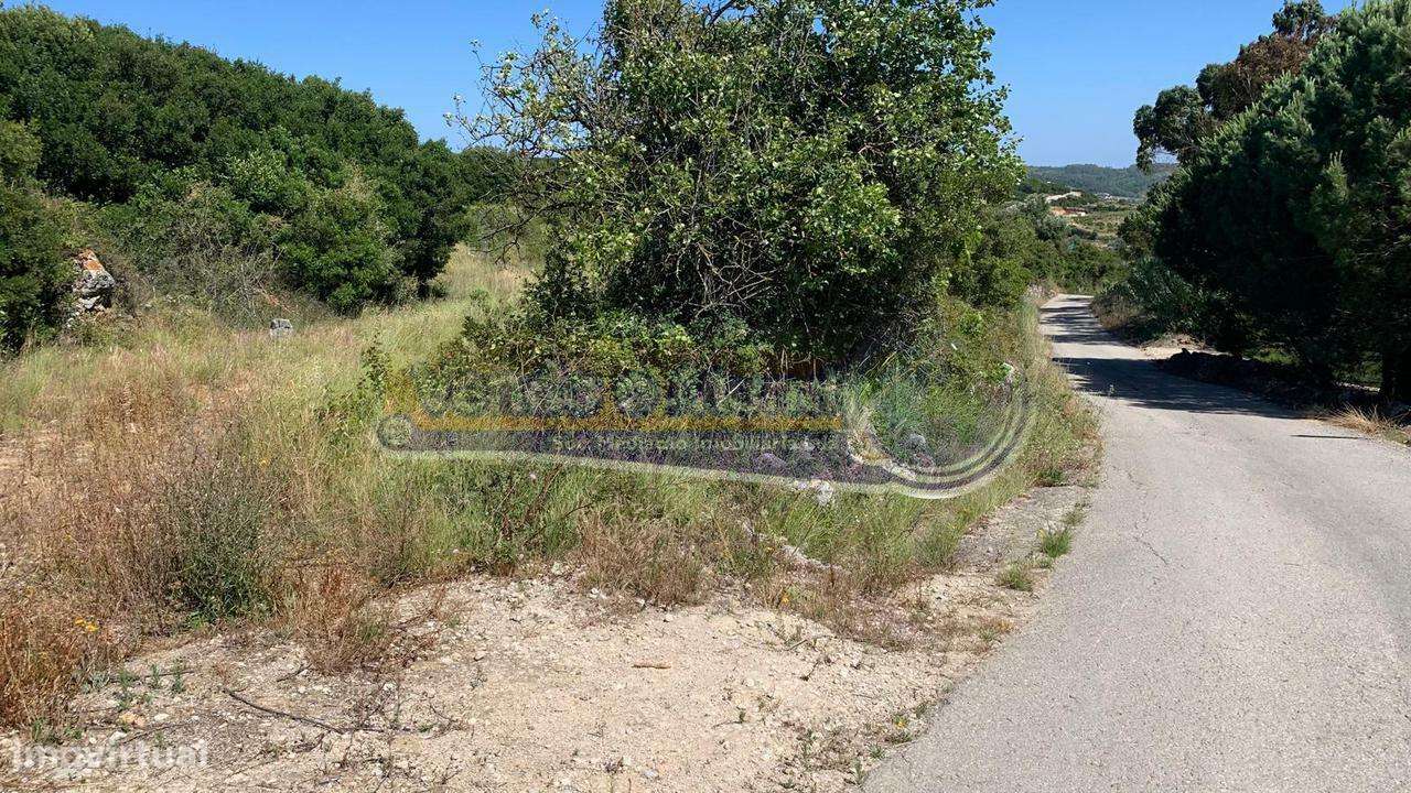 Terreno em Alhandra (ALH017) - Grande imagem: 3/6