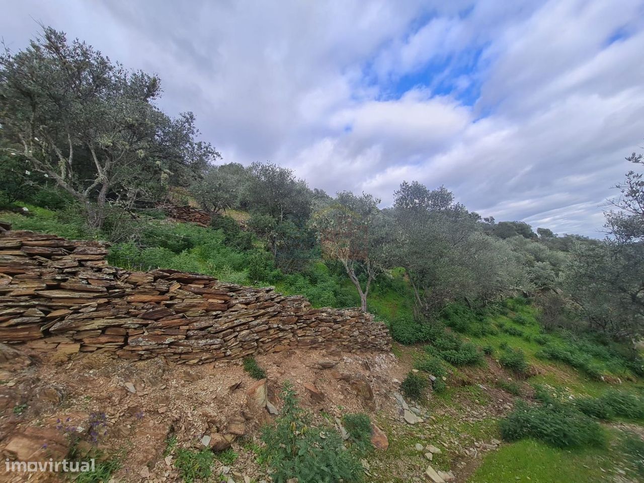 Terreno junto ao Tejo em Castelo Branco - Grande imagem: 1/15