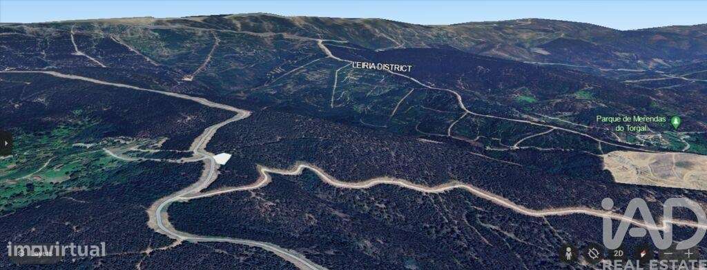 Terreno Agrícola em Espinhal de 800,00 m2 - Grande imagem: 3/11