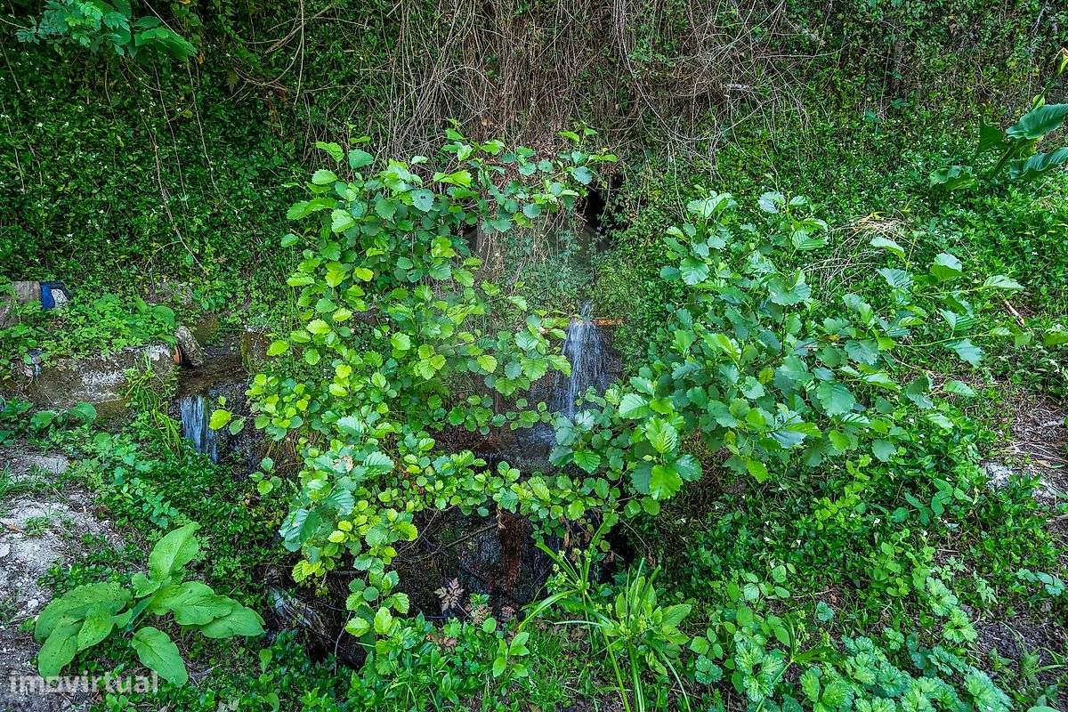 Terreno  para venda - Grande imagem: 3/35