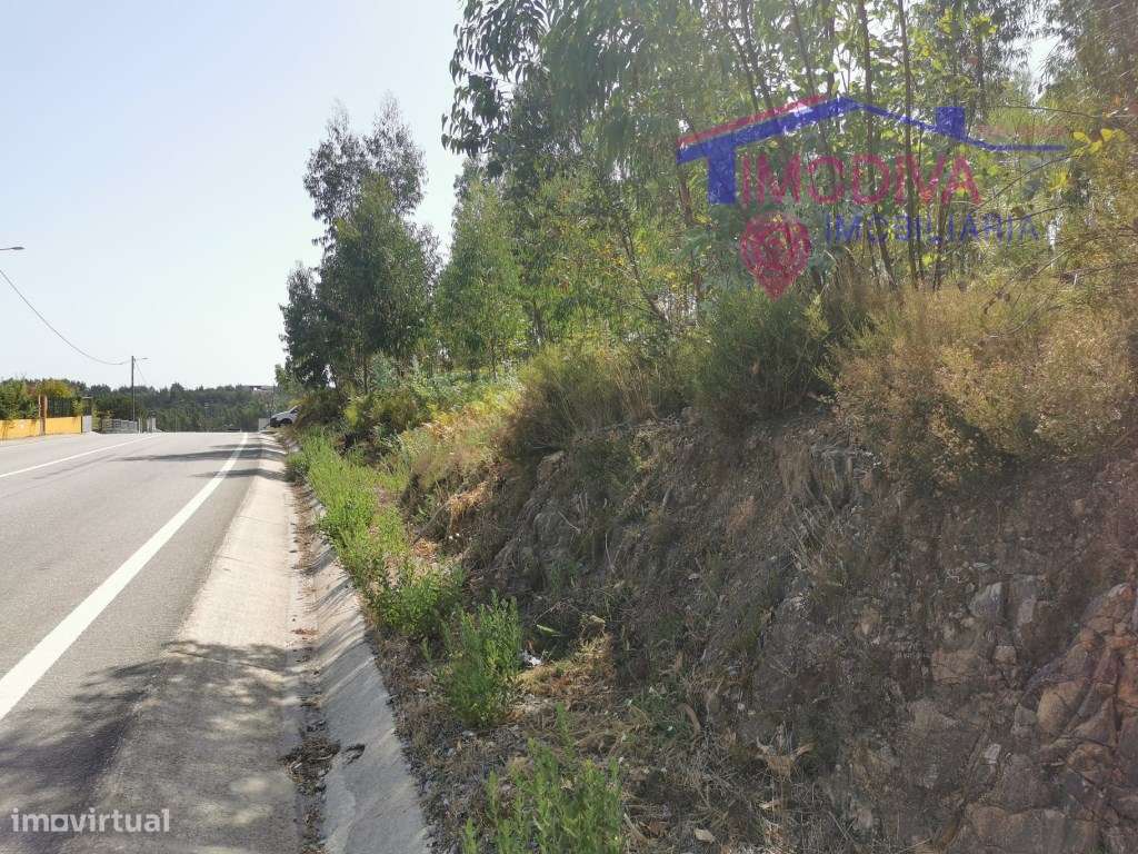 Terreno rústico com fácil acesso em Outão, Pedrogão Grande - Grande imagem: 3/8