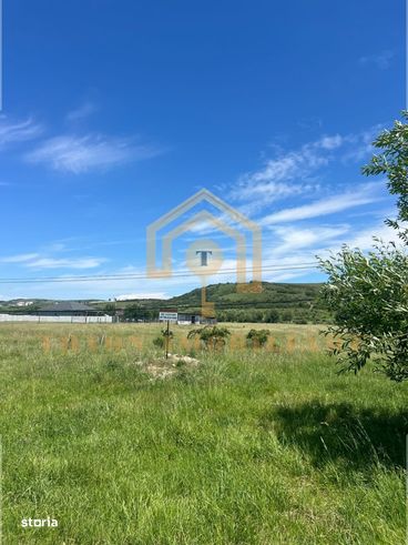 Teren extravilan de 10.030 mp – Petrești, Sebeș-5