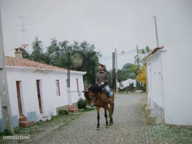 Herdade Montinho do Pascoal - Grande imagem: 2/34