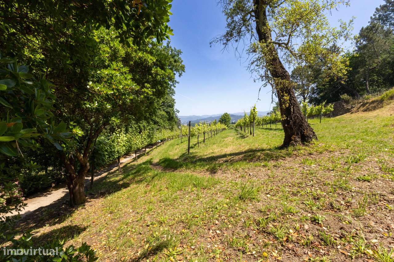Quinta de Luxo de Vinho e Natureza com Potencial de Expansão perto do-33
