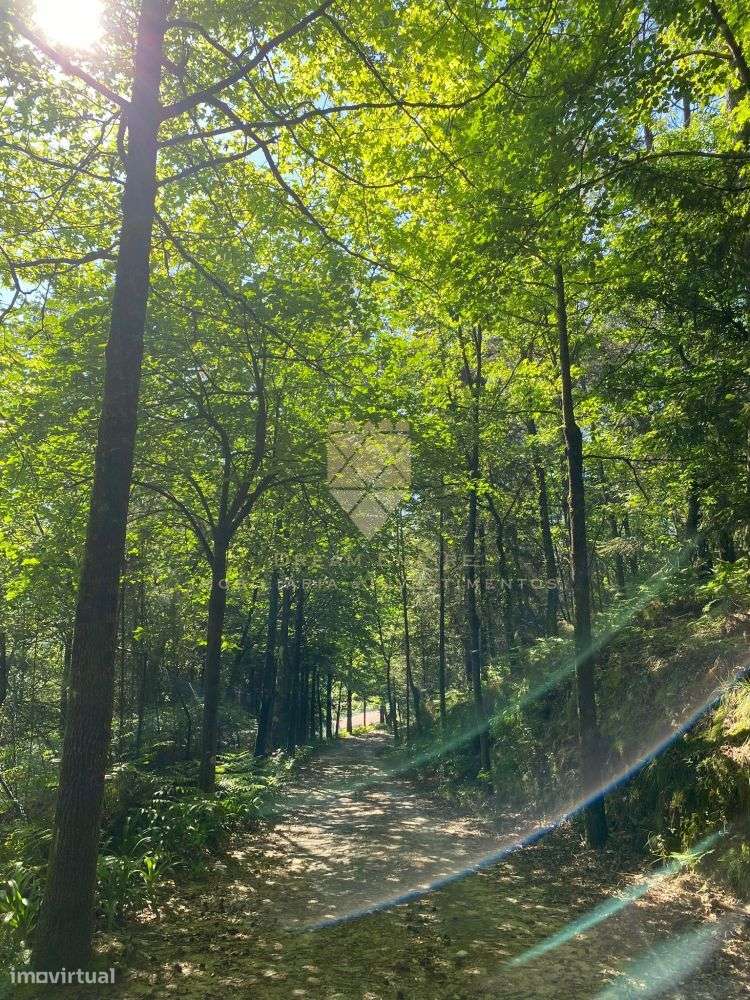 Quinta de Paço de Sousa – Tradição, Natureza e Potencial em Harmo-32