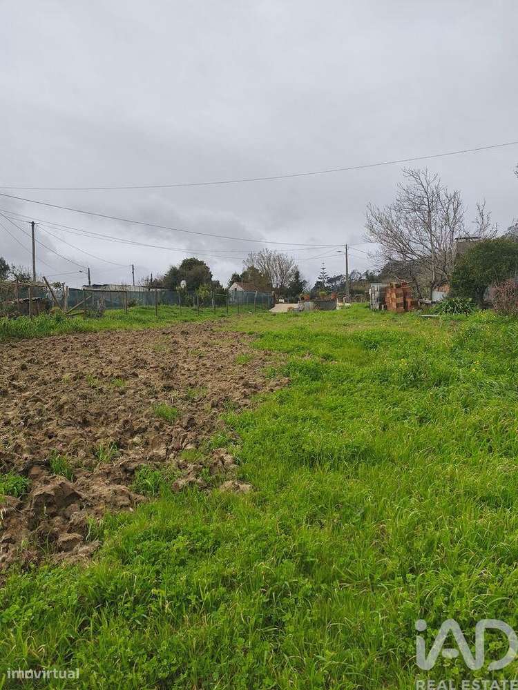 Terreno Agrícola em Cela - Grande imagem: 5/16