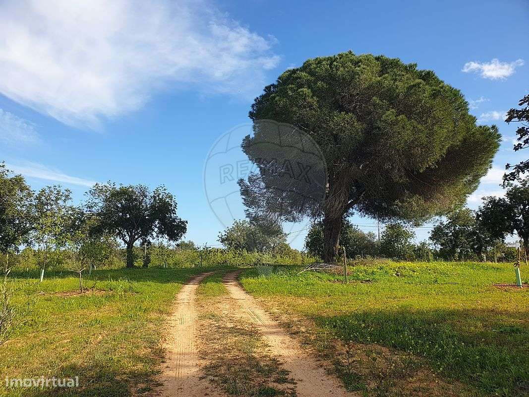 Terreno  para venda - Grande imagem: 5/21