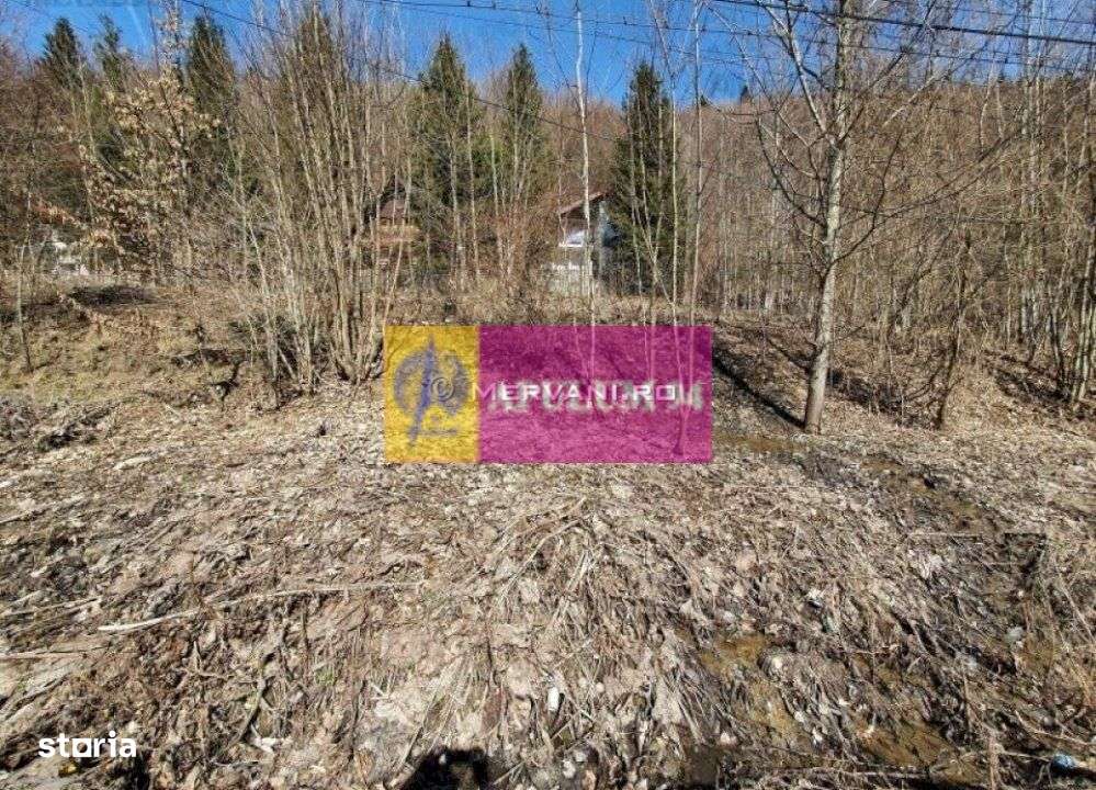 Teren Intravilan de Vânzare Sinaia - Imagine principală: 4/5