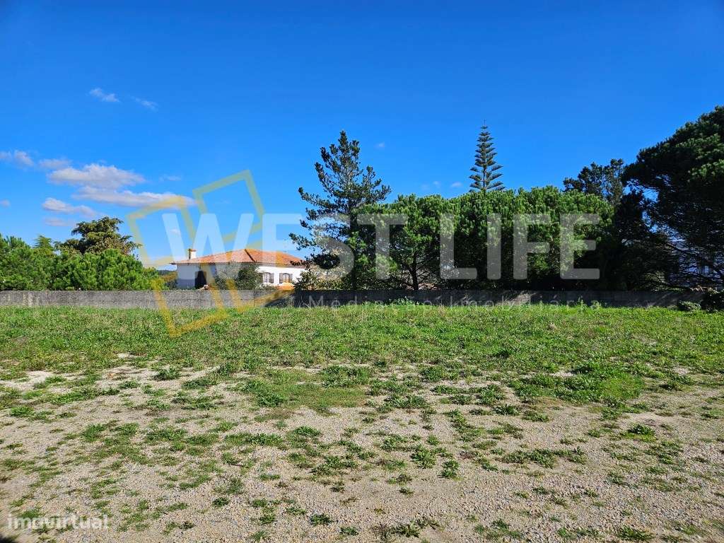 Terreno plano em Mafra com 1975m2 para Arrendamento - Grande imagem: 3/15