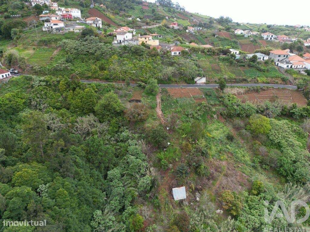 Terreno em Arco de São Jorge de 6820,00 m2 - Grande imagem: 4/11