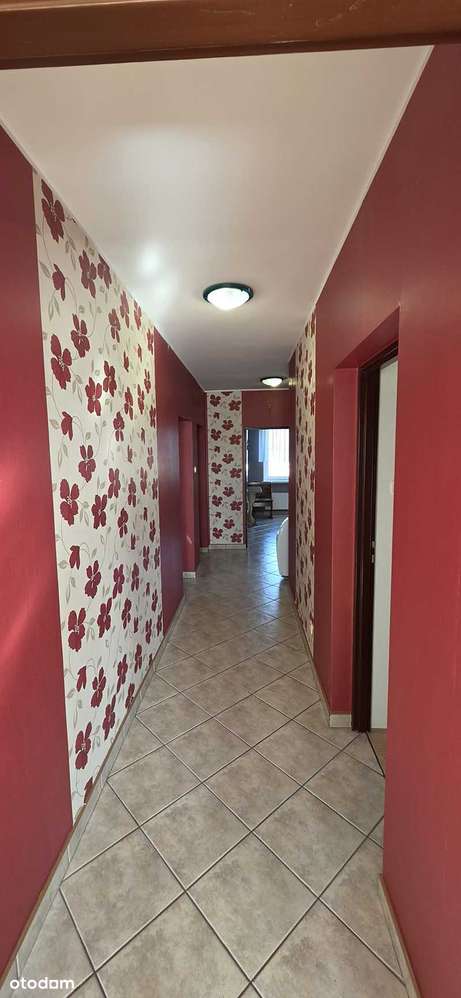 Michałów, dom jednorodzinny, garaż, duża działka, umeblowanie, POLECAM-9