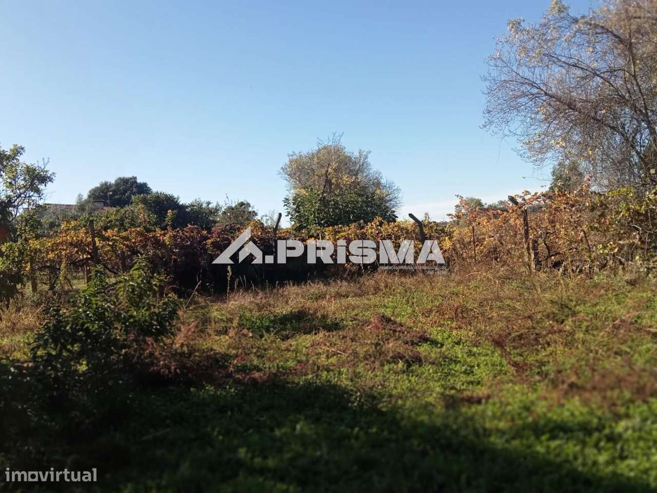 Quintinha para venda com construção rural para venda em Escalos de Bai-16