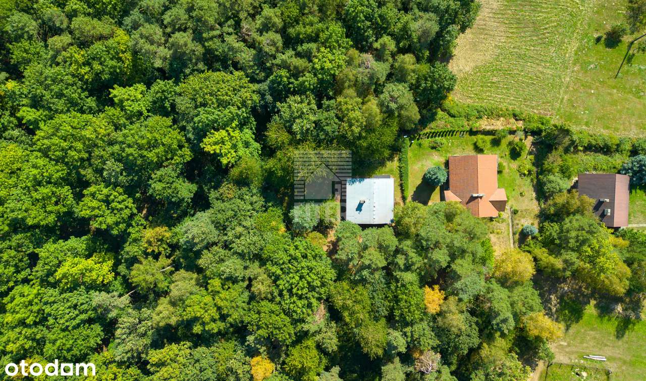 100 m2 dom w lesie...-15