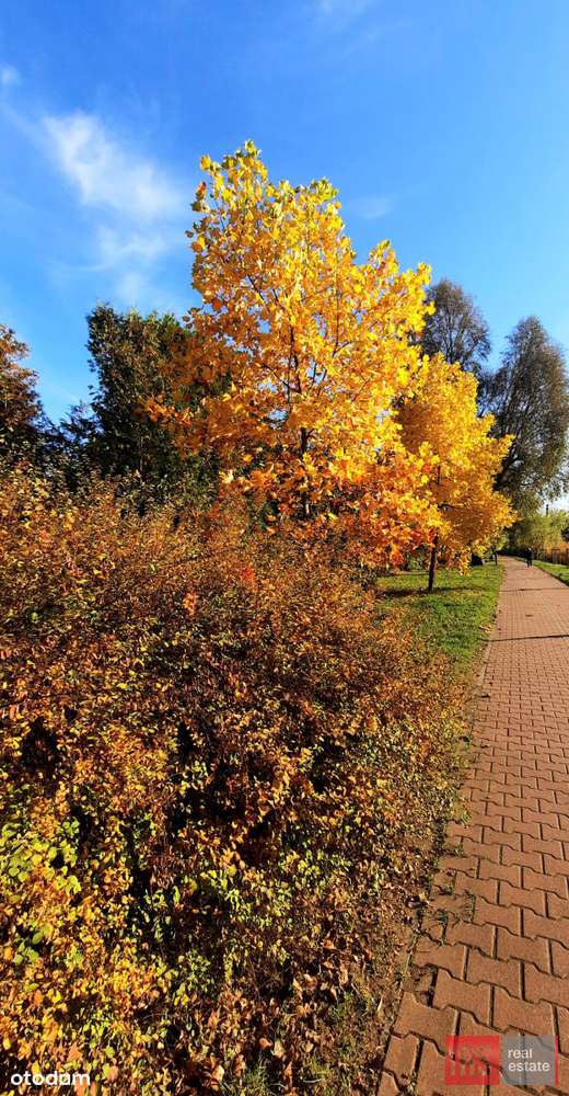 Mieszkanie 3-pokojowe przy parku Kępa Potocka-5