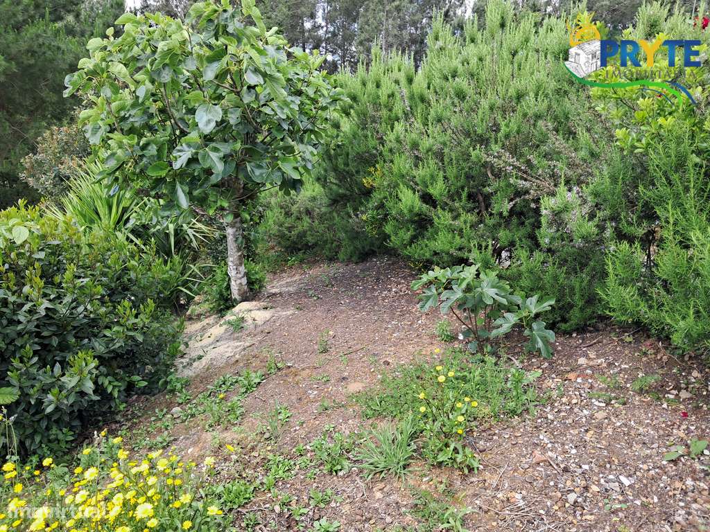 Moradia de tipologia T3 situada perto da Vila da Sertã-31