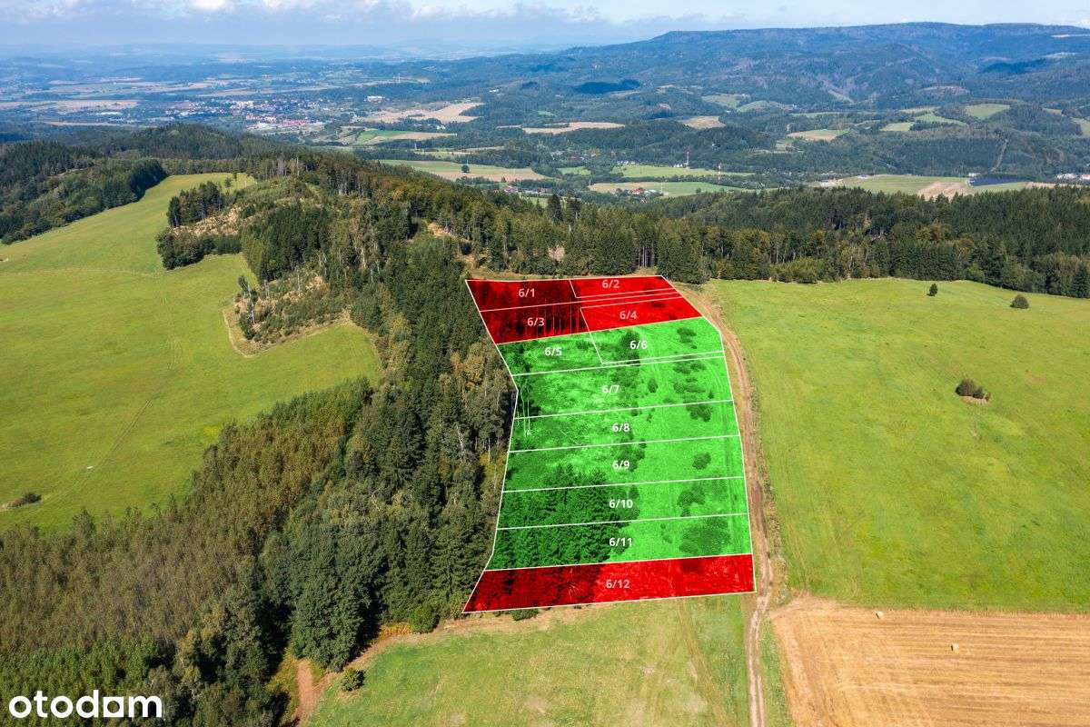 Działka widokowa z własnym lasem - Pełny obrazek: 3/10