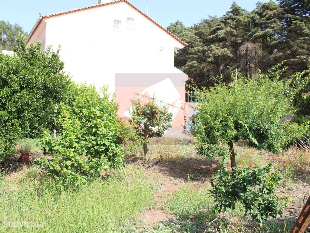 Terreno urbano no Bairro dos Pedrogãos em Caneças-6