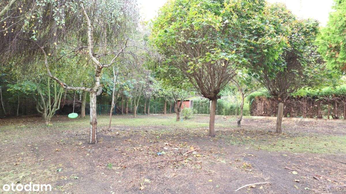 Wolnostojący dom z dużą działką - Pełny obrazek: 3/9