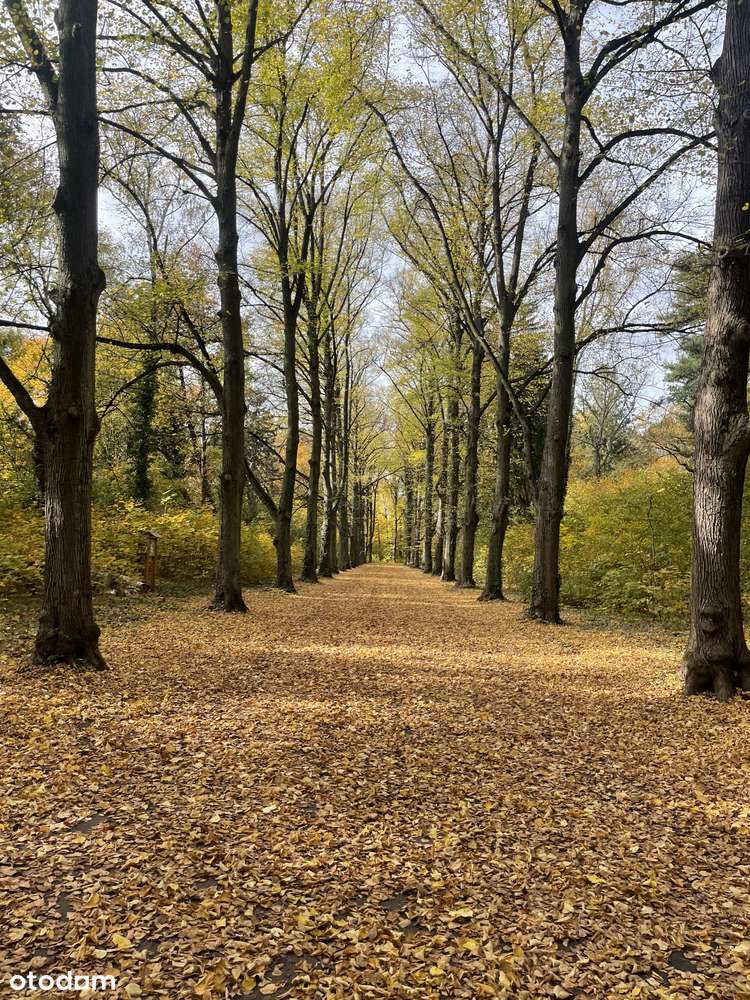 Przytulny pokój 15m² z widokiem na miasto