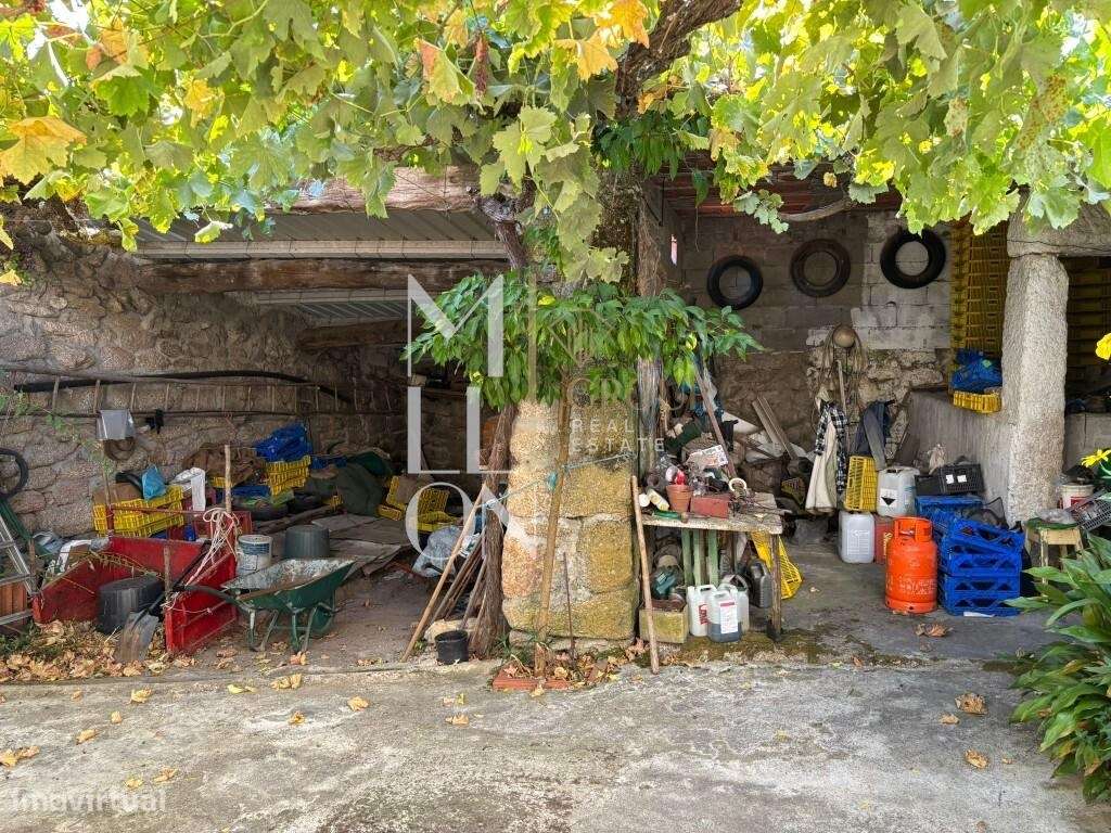 Quinta com 10 hectares — Tranquilidade, potencial e múltiplas valência-7