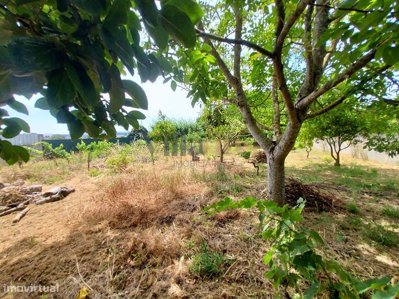 Moradia T2 com Piscina, Pomar e Garagens Duplas a 5 Minutos de Tomar |-13