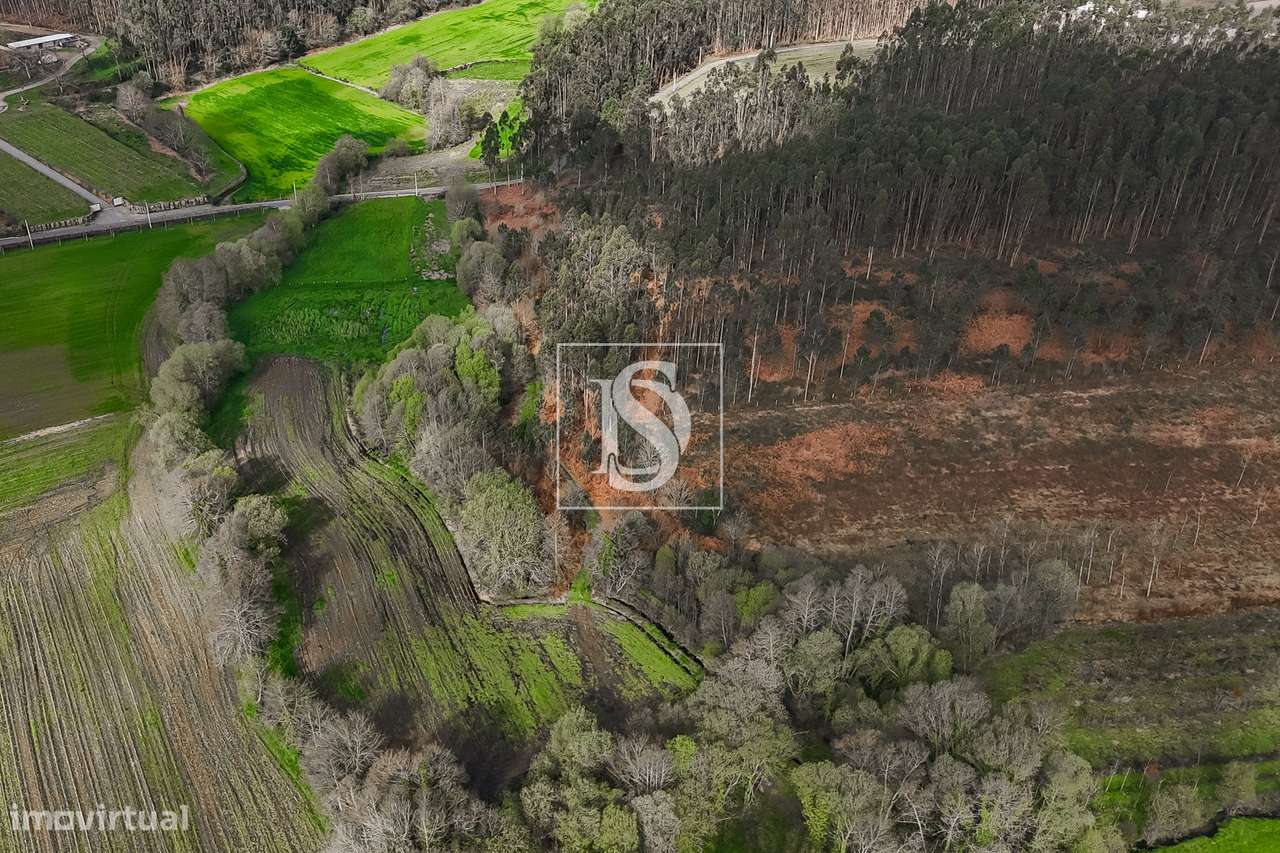 Terreno Rústico  Venda em Associação de freguesias do Vale do Neiva,Po-7