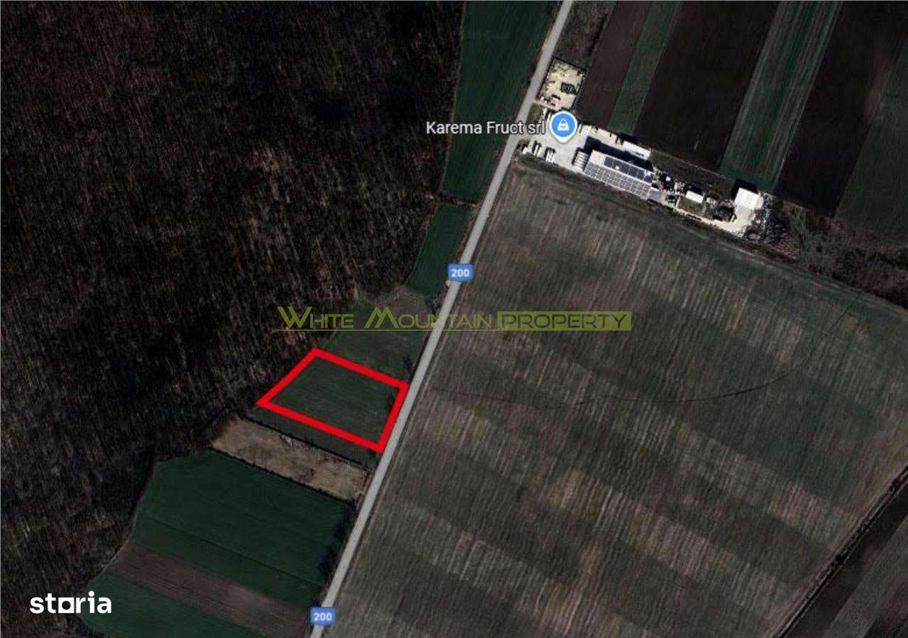 Dascalu, Ilfov, 2 ha teren de vanzare - Imagine principală: 3/3