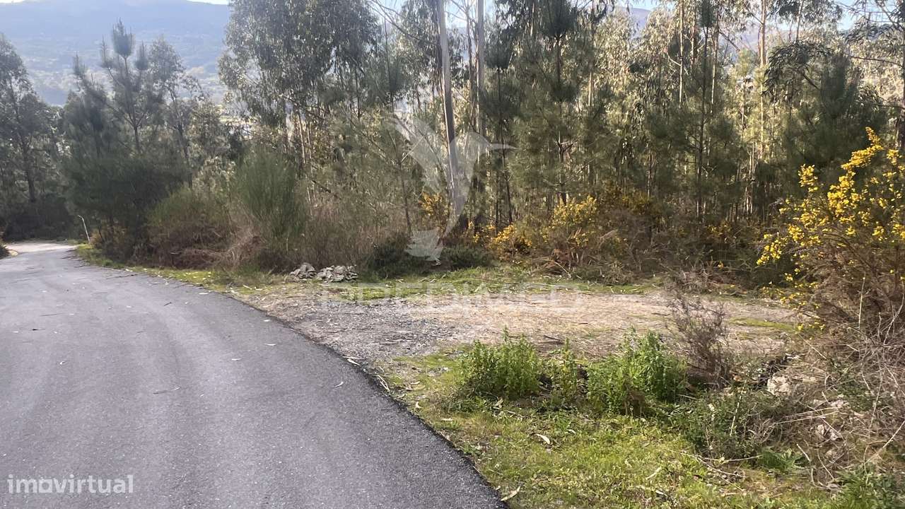 Terreno Florestal com 9.938 m² | Sá, Arcos de Valdevez - Grande imagem: 3/30