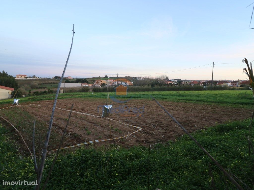 Terreno urbano 4.800m2 na Bombardeira, A dos Cunhados