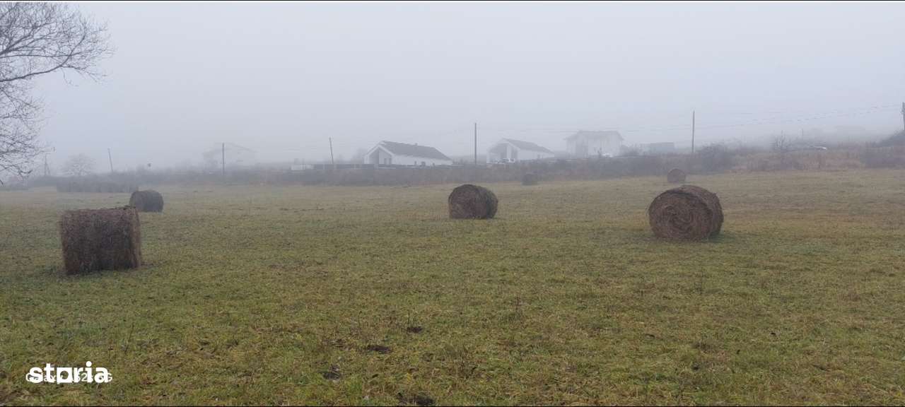 Teren intravilan constructii industriale - Imagine principală: 5/12