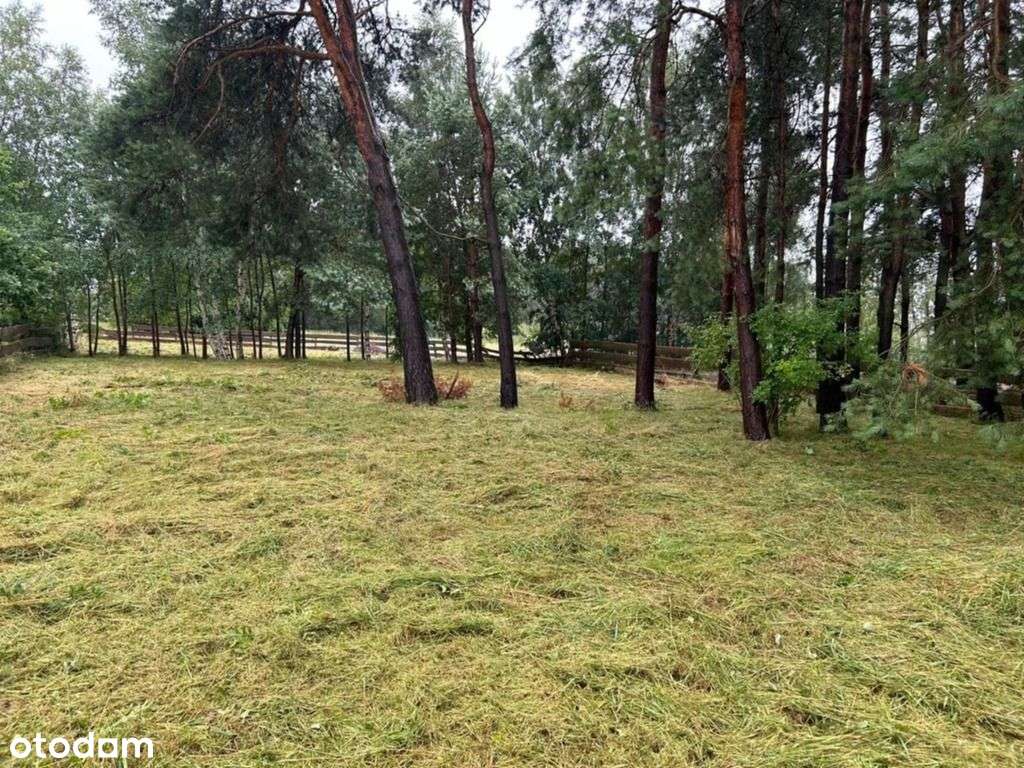 Sprzedam wyjątkową działkę letniskowo-budowlaną - Pełny obrazek: 4/7