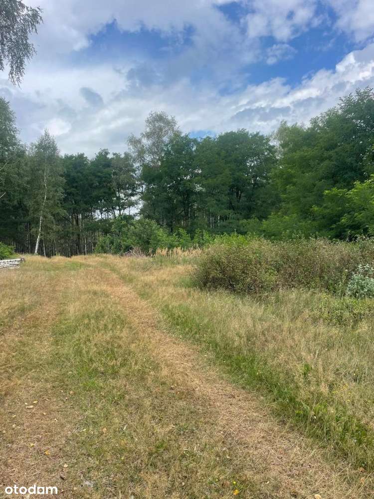 Działki budowlane w Klotyldzinie-5