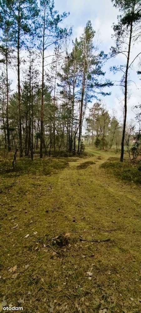 Działka z WZ, gm. Lutomiersk, Franciszków, 2700 m2, atrakcyjna cena-5