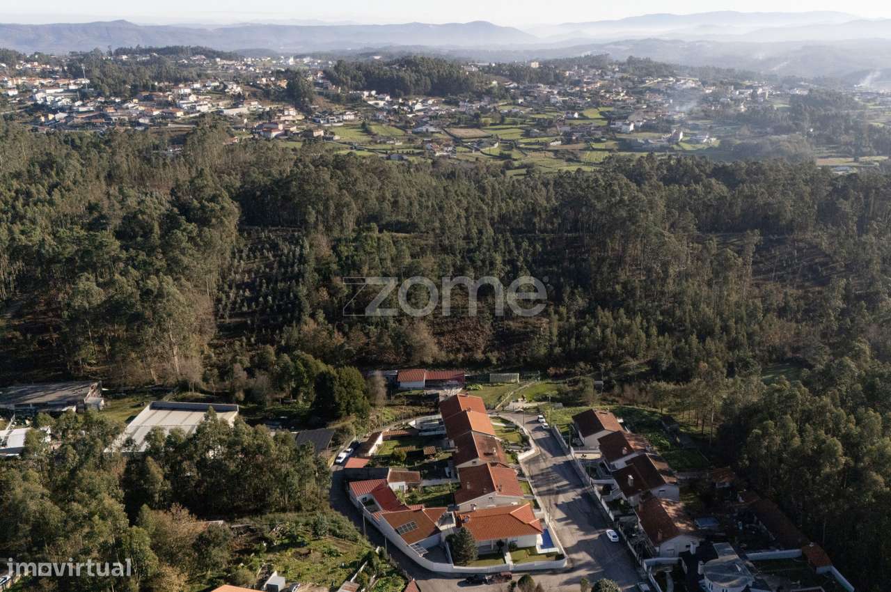 Terreno Rustico com 22500 m2, em Argoncilhe, Santa Maria da Feira - Grande imagem: 4/23