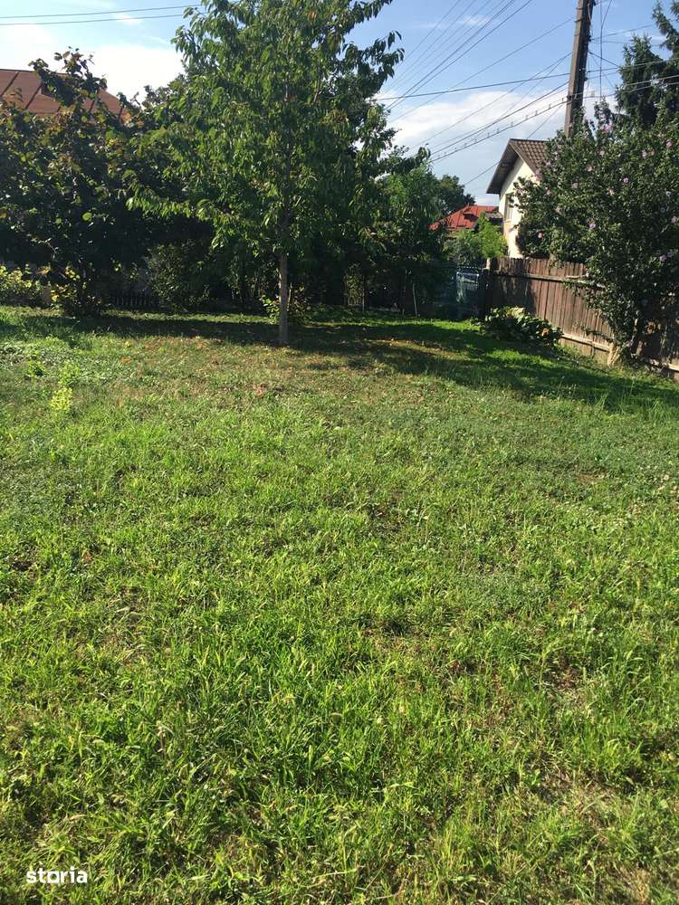 Super oferta ROANDY-Teren la un super pret cu deschidere la DN1B-Bucov - Imagine principală: 2/4