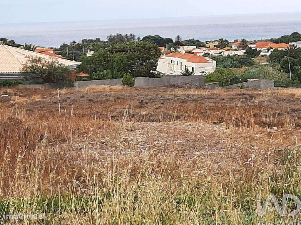 Terreno em Porto Santo de 400,00 m2 - Grande imagem: 2/14
