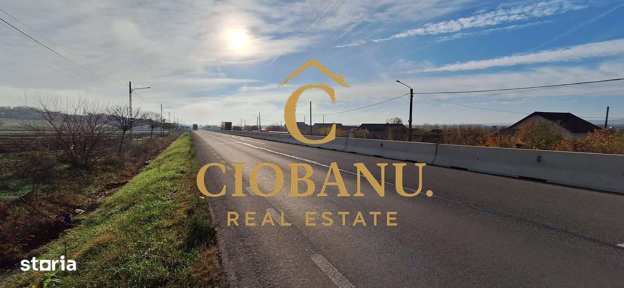 Hala de vanzare in Racarii de Jos-17