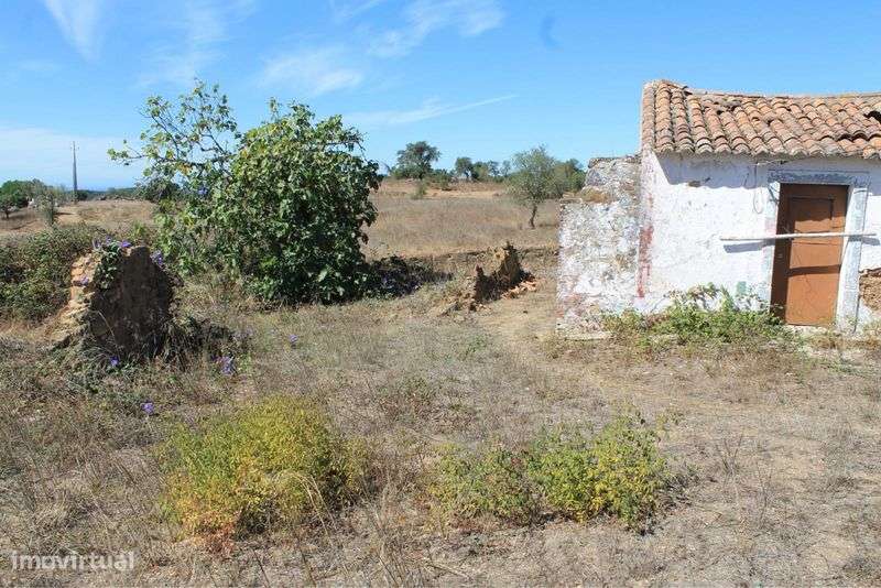 Terreno Urbano com ruina para reconstruir - Grande imagem: 5/10