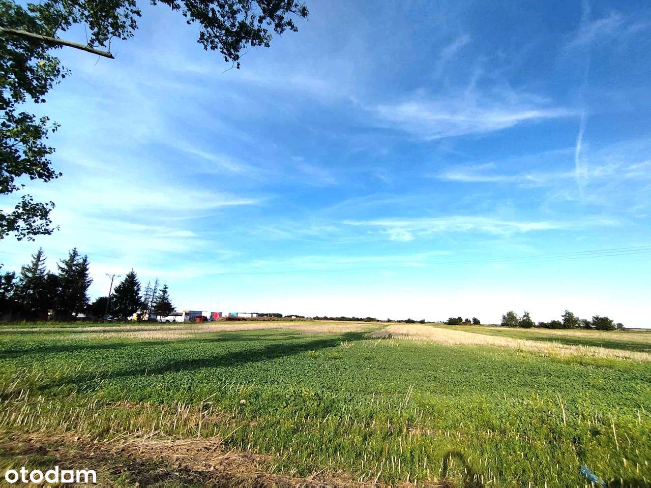 MEGA działka MIESZKANIOWO-USŁUGOWA*uzbrojona*zjazd z DW328*blisko A-4 - Pełny obrazek: 5/12