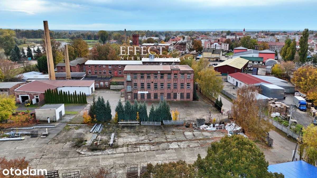 Hala 400 m²,  do wynajmu jeszcze I lub II piętro - Pełny obrazek: 5/15