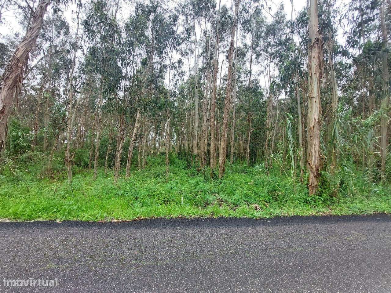 Terreno Rústico, inserido em uma zona tranquila no Paião, 14 minutos d - Grande imagem: 4/5