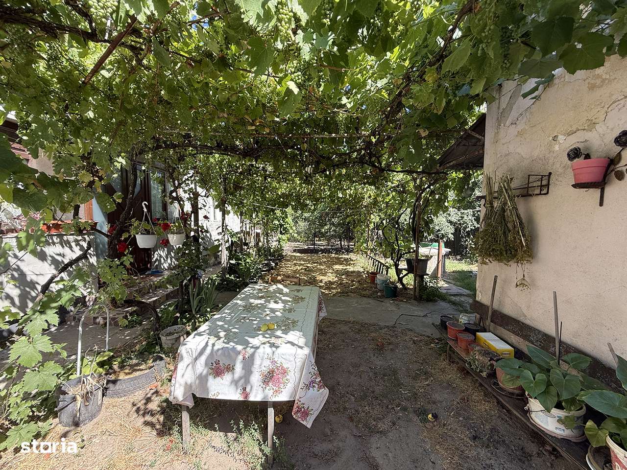 Casa taraneasca cu teren de 2500 mp. - Biharia - IMOBIHOR - Imagine principală: 4/8