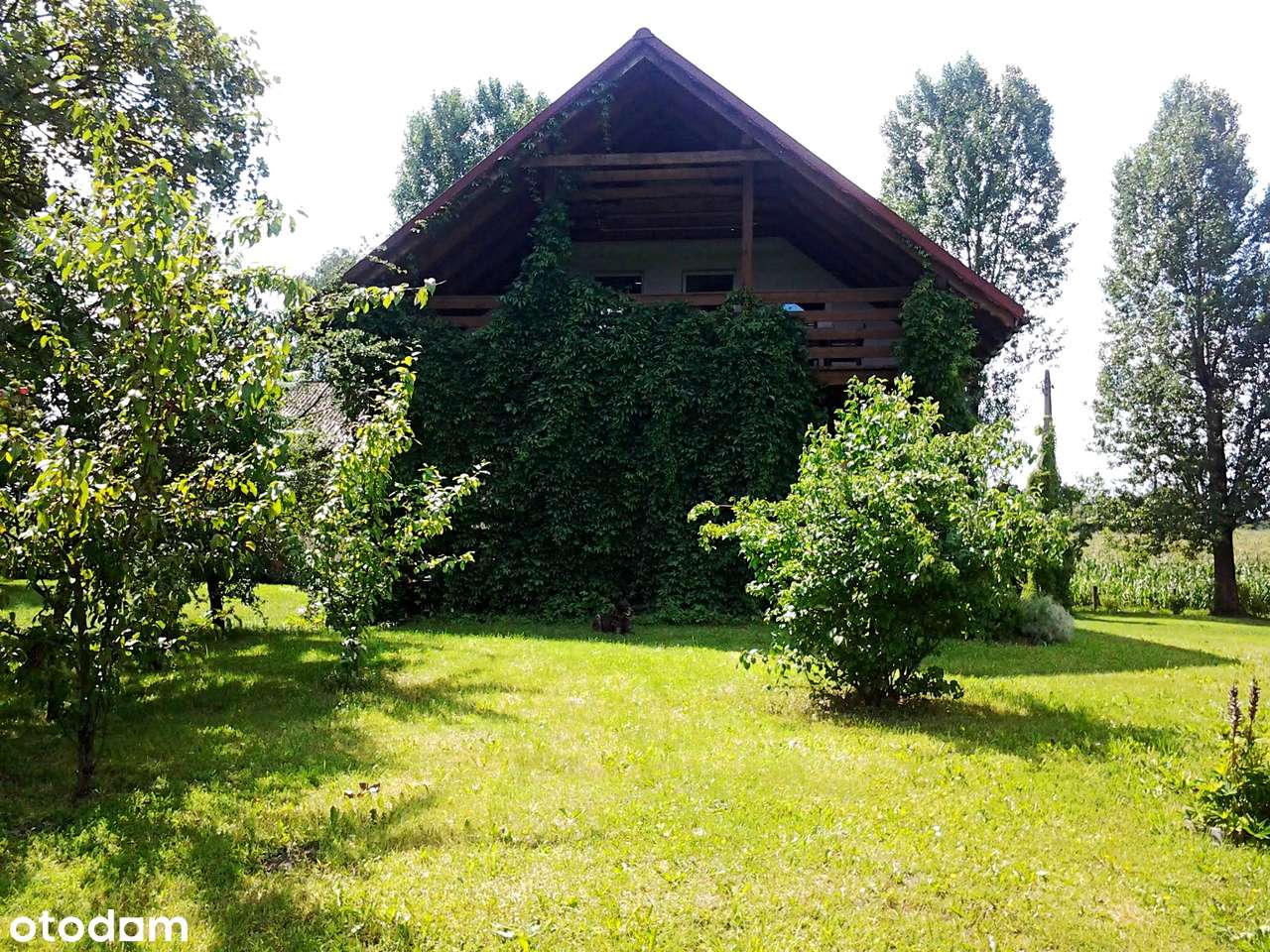 Natura, cisza, kameralność, śpiew ptaków-9