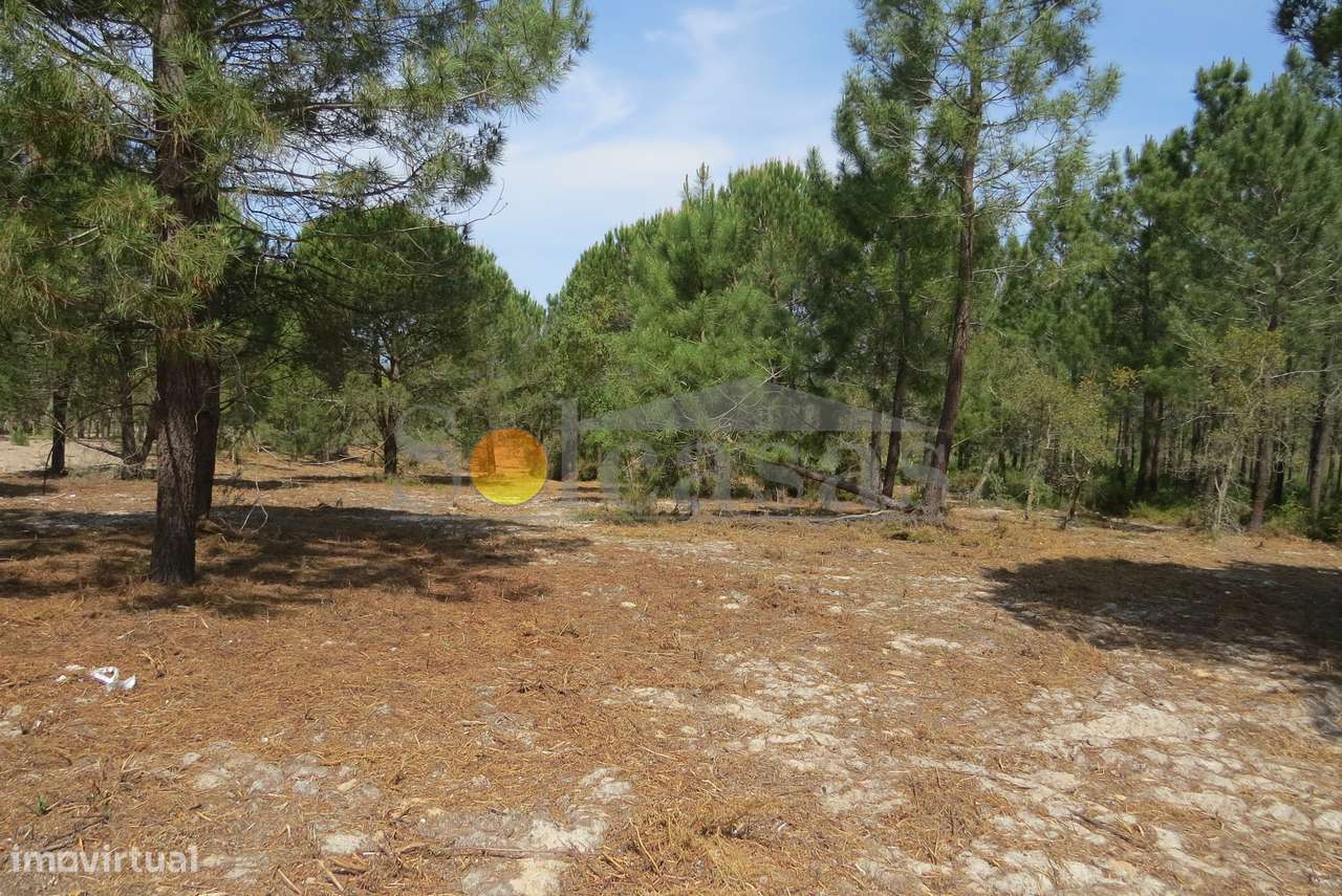 Terreno rustico em Melides - Grande imagem: 3/18