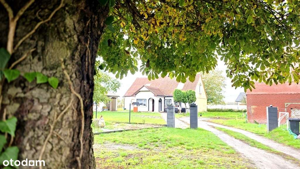 Dwa domy na jednej działce Nowiny Wielkie - Pełny obrazek: 1/20