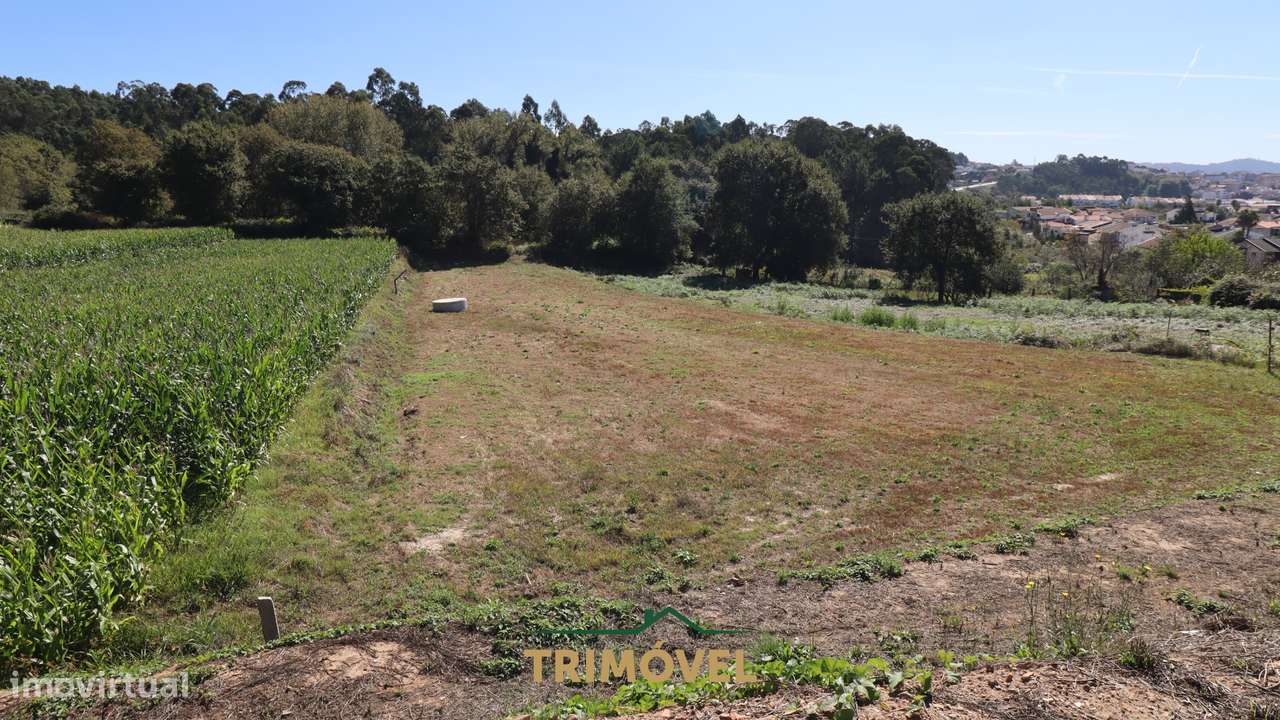 Terreno para Construção em Oliveira de Azeméis - Grande imagem: 3/4